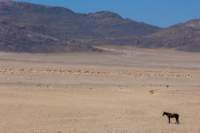 _namibia23set027_small.jpg