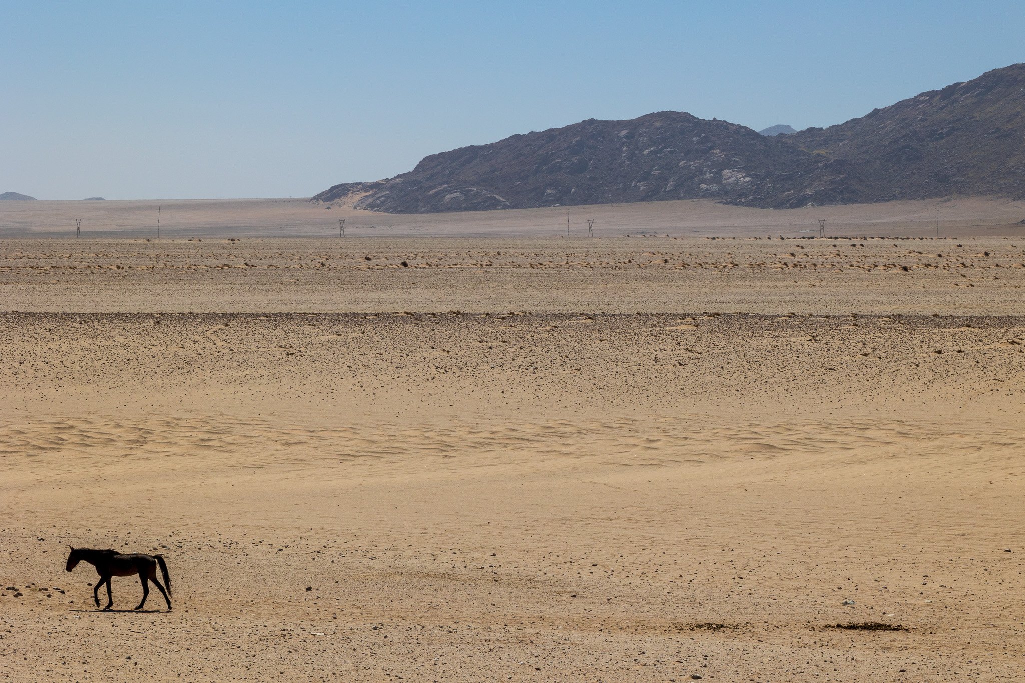 _namibia23set028.jpg
