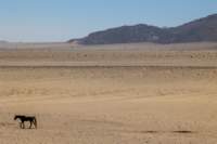 _namibia23set028_small.jpg