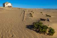_namibia23set0345_small.jpg