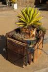 _namibia23set0369_small.jpg