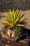 _namibia23set0370_small.jpg