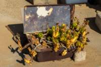 _namibia23set0371_small.jpg