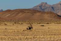 _namibia23set0377_small.jpg