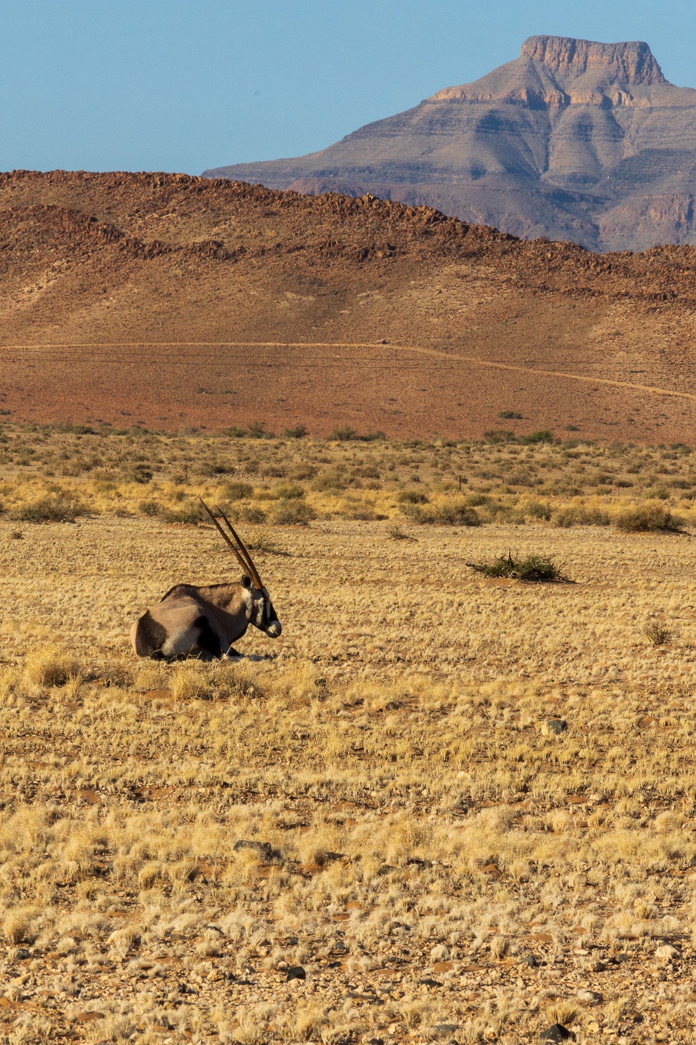 _namibia23set0380.jpg