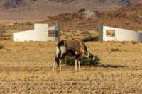 _namibia23set0382_small.jpg