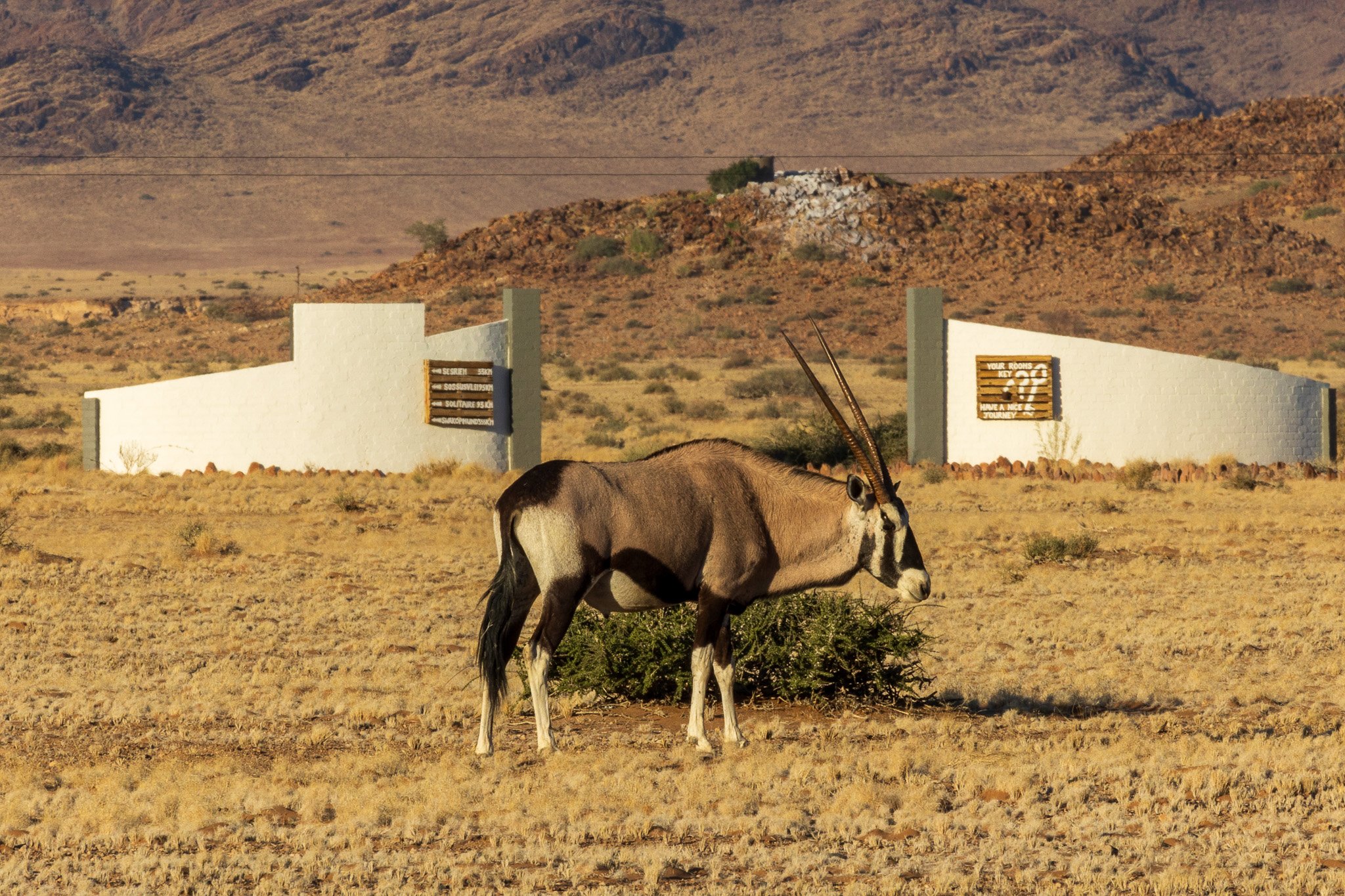 _namibia23set0383.jpg