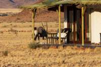 _namibia23set0385_small.jpg