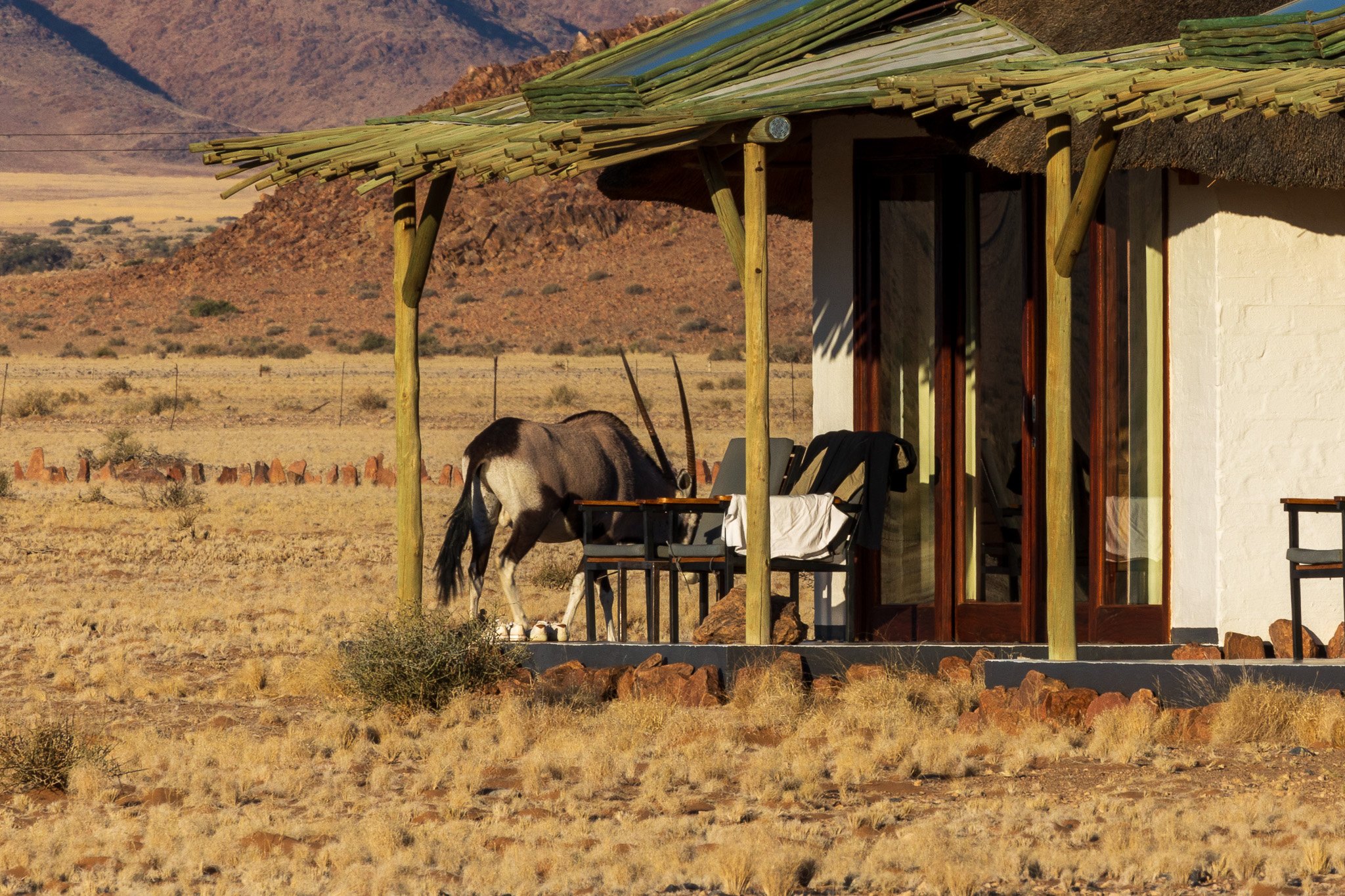 _namibia23set0386.jpg