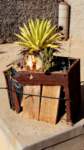 a_namibia23set033_small.jpg