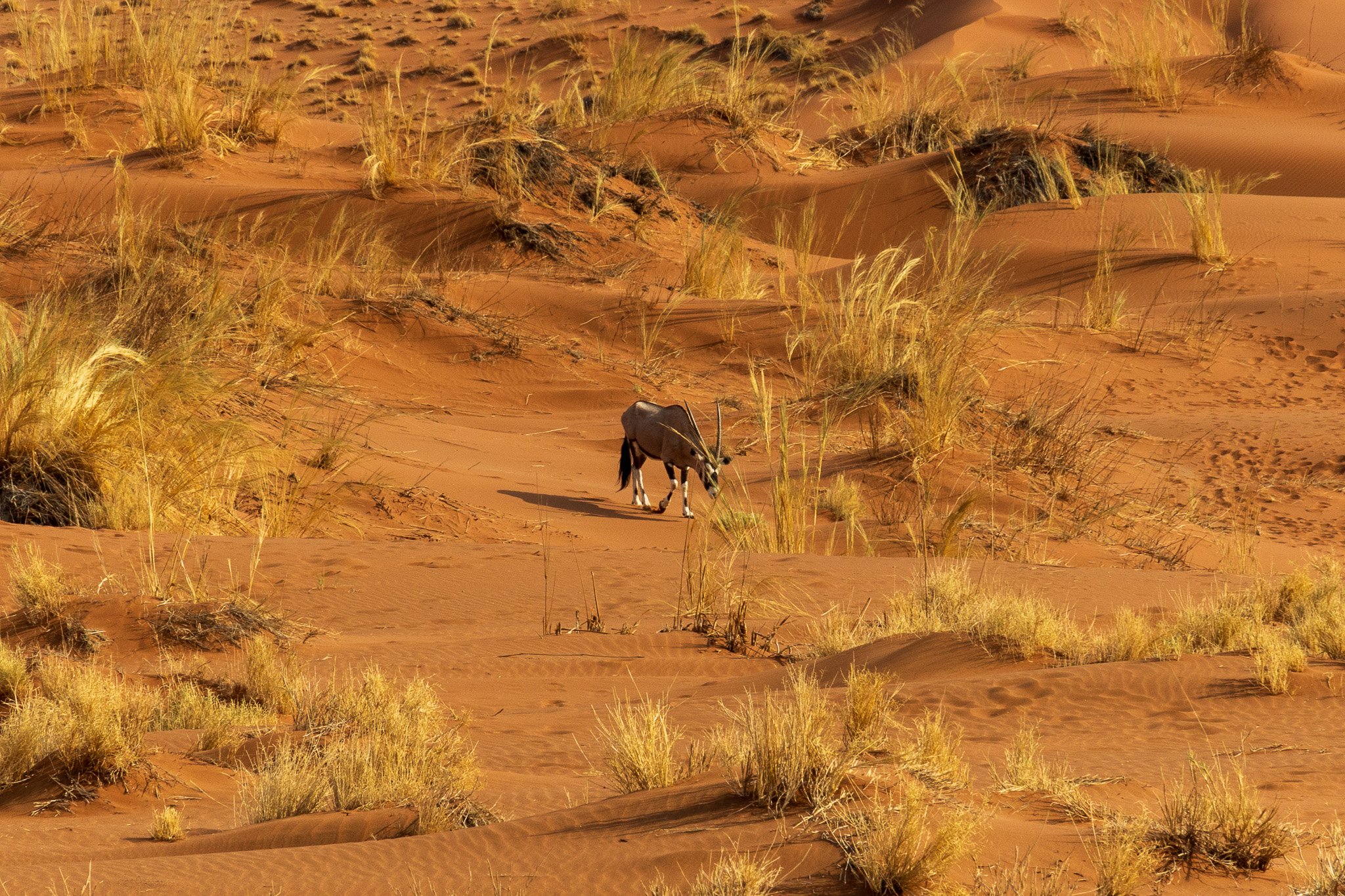 _namibia23set0413.jpg