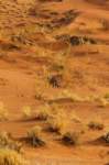 _namibia23set0414_small.jpg