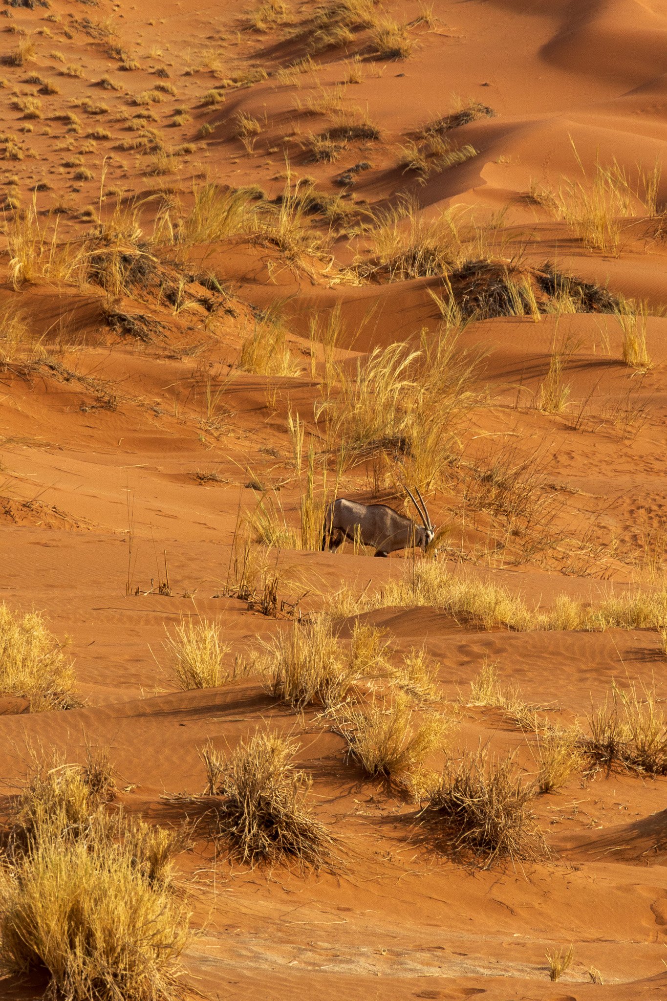 _namibia23set0415.jpg