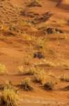 _namibia23set0415_small.jpg
