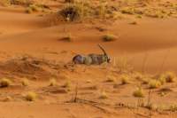 _namibia23set0416_small.jpg
