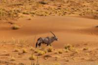 _namibia23set0417_small.jpg