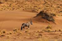 _namibia23set0418_small.jpg