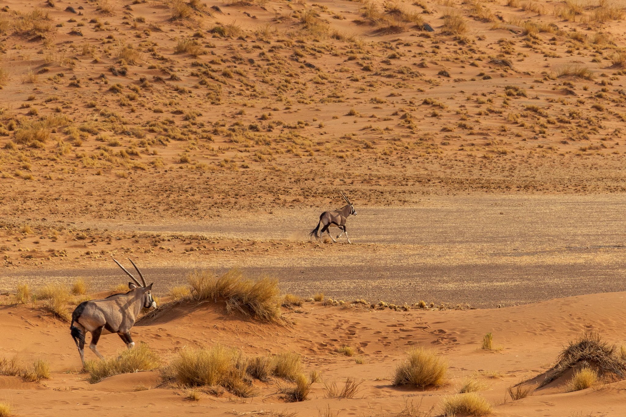 _namibia23set0419.jpg