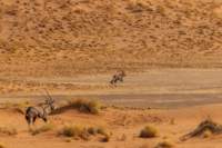 _namibia23set0419_small.jpg