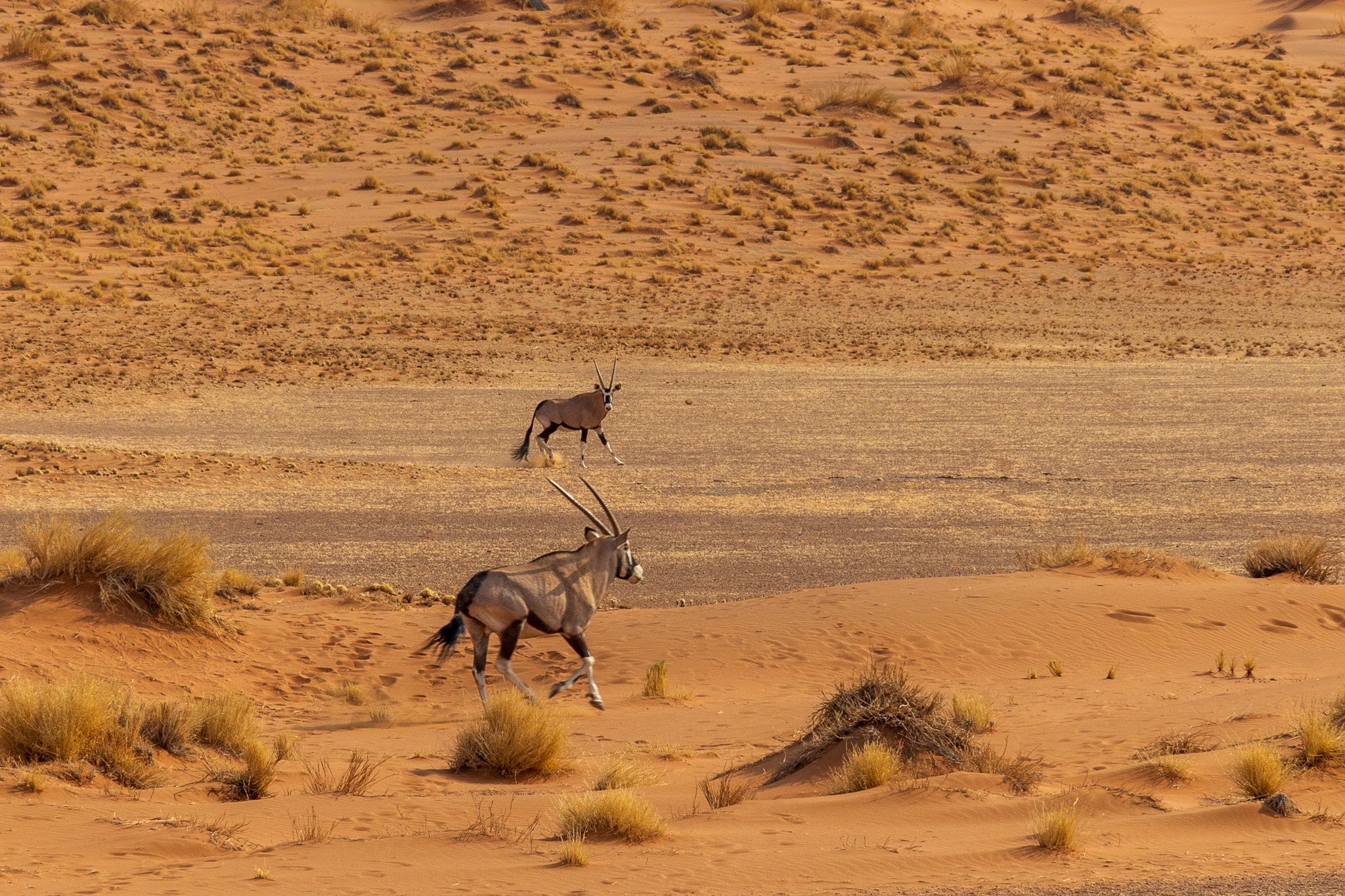 _namibia23set0420.jpg