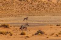_namibia23set0420_small.jpg