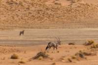 _namibia23set0421_small.jpg