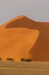 _namibia23set0424_small.jpg