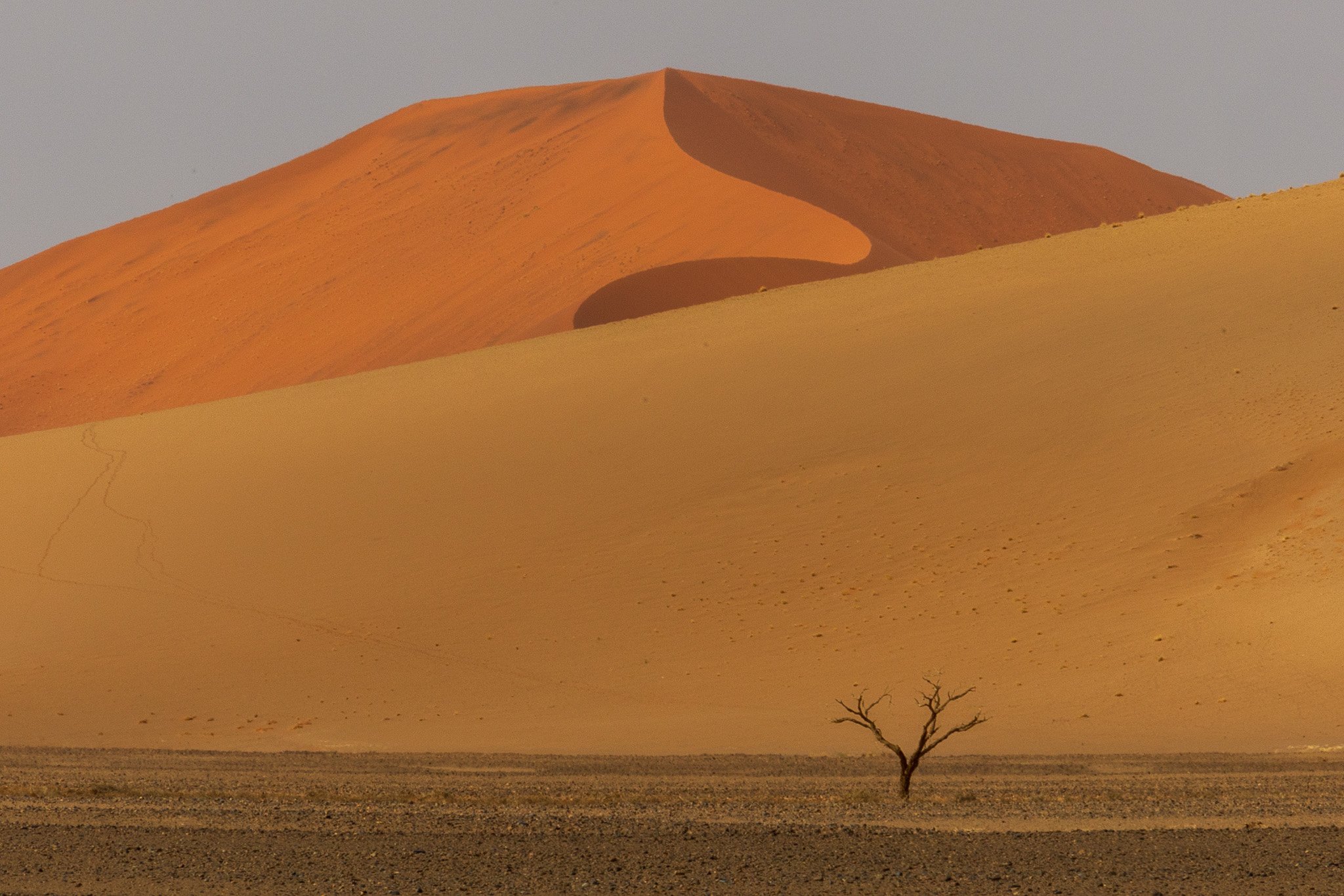 _namibia23set0428.jpg