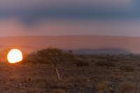 _namibia23set042_small.jpg