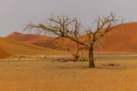 _namibia23set0430_small.jpg