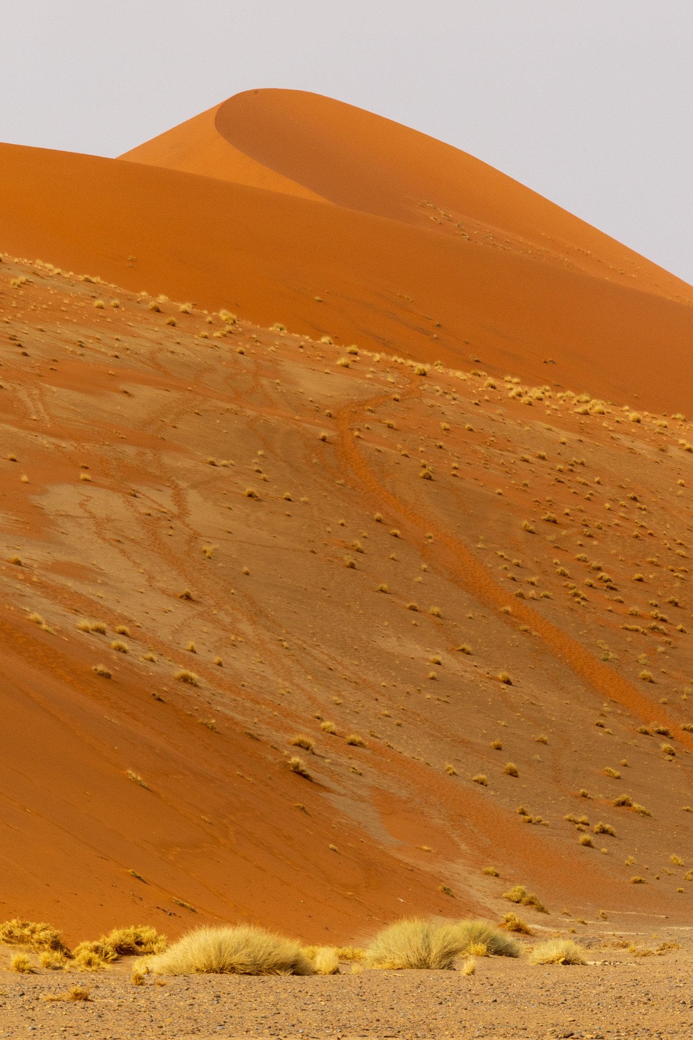 _namibia23set0431.jpg