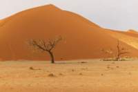 _namibia23set0432_small.jpg