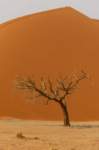 _namibia23set0433_small.jpg