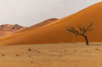 _namibia23set0434_small.jpg