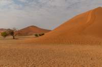 _namibia23set0435_small.jpg