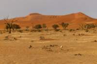 _namibia23set0437_small.jpg