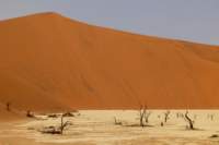 _namibia23set0440_small.jpg