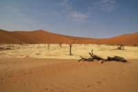 _namibia23set0441_small.jpg