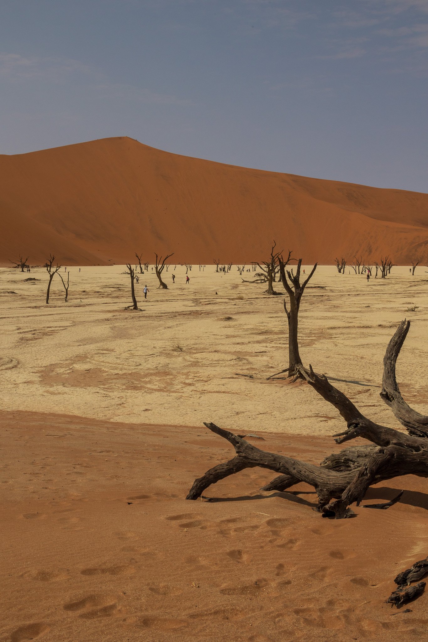 _namibia23set0442.jpg