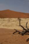 _namibia23set0442_small.jpg