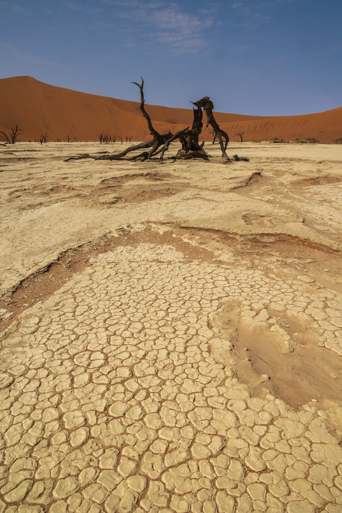 _namibia23set0443.jpg