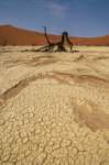 _namibia23set0443_small.jpg