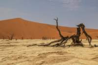 _namibia23set0444_small.jpg
