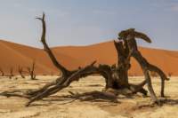 _namibia23set0445_small.jpg