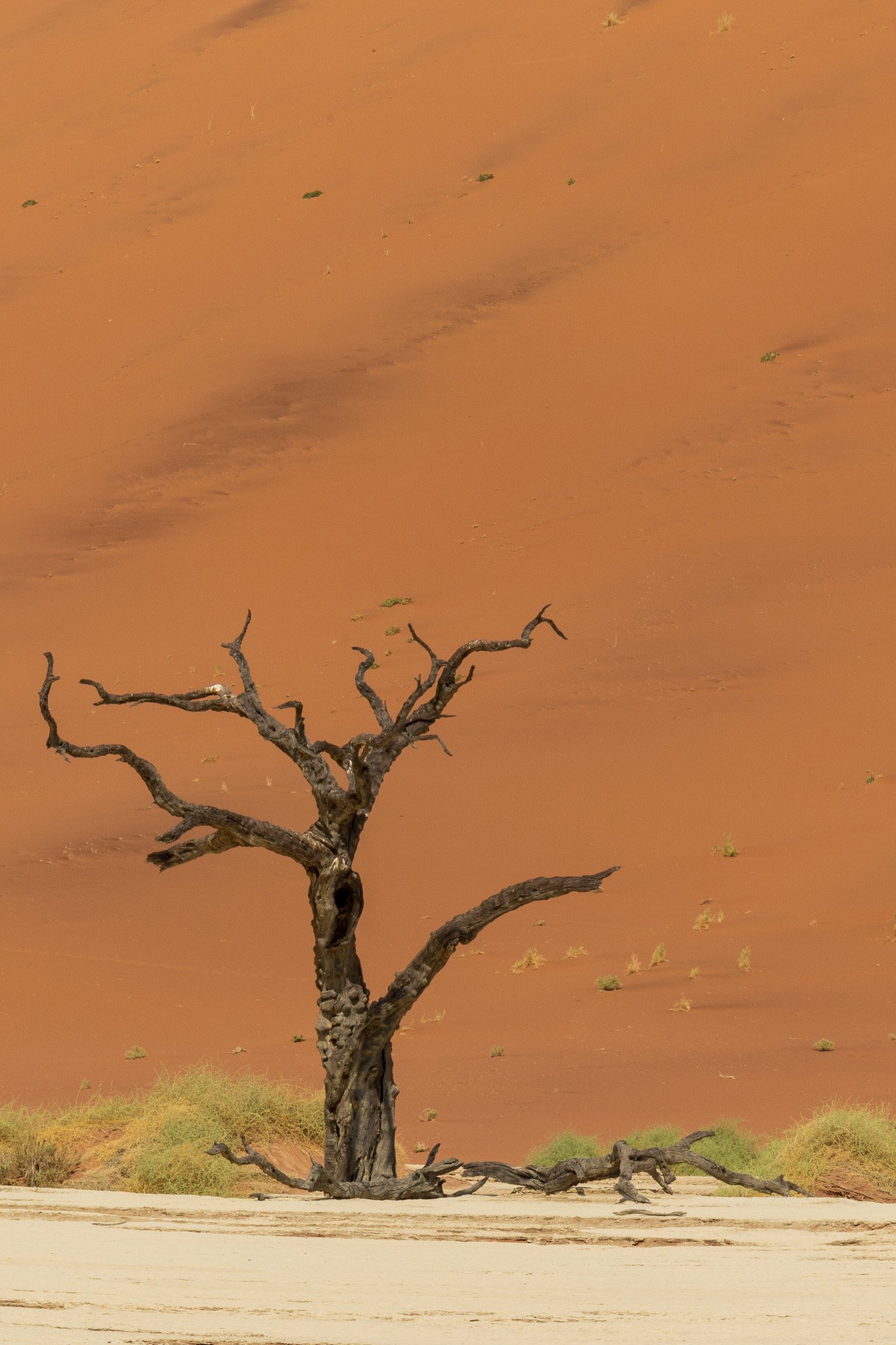 _namibia23set0447.jpg