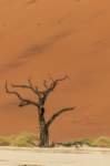 _namibia23set0447_small.jpg