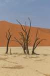 _namibia23set0448_small.jpg
