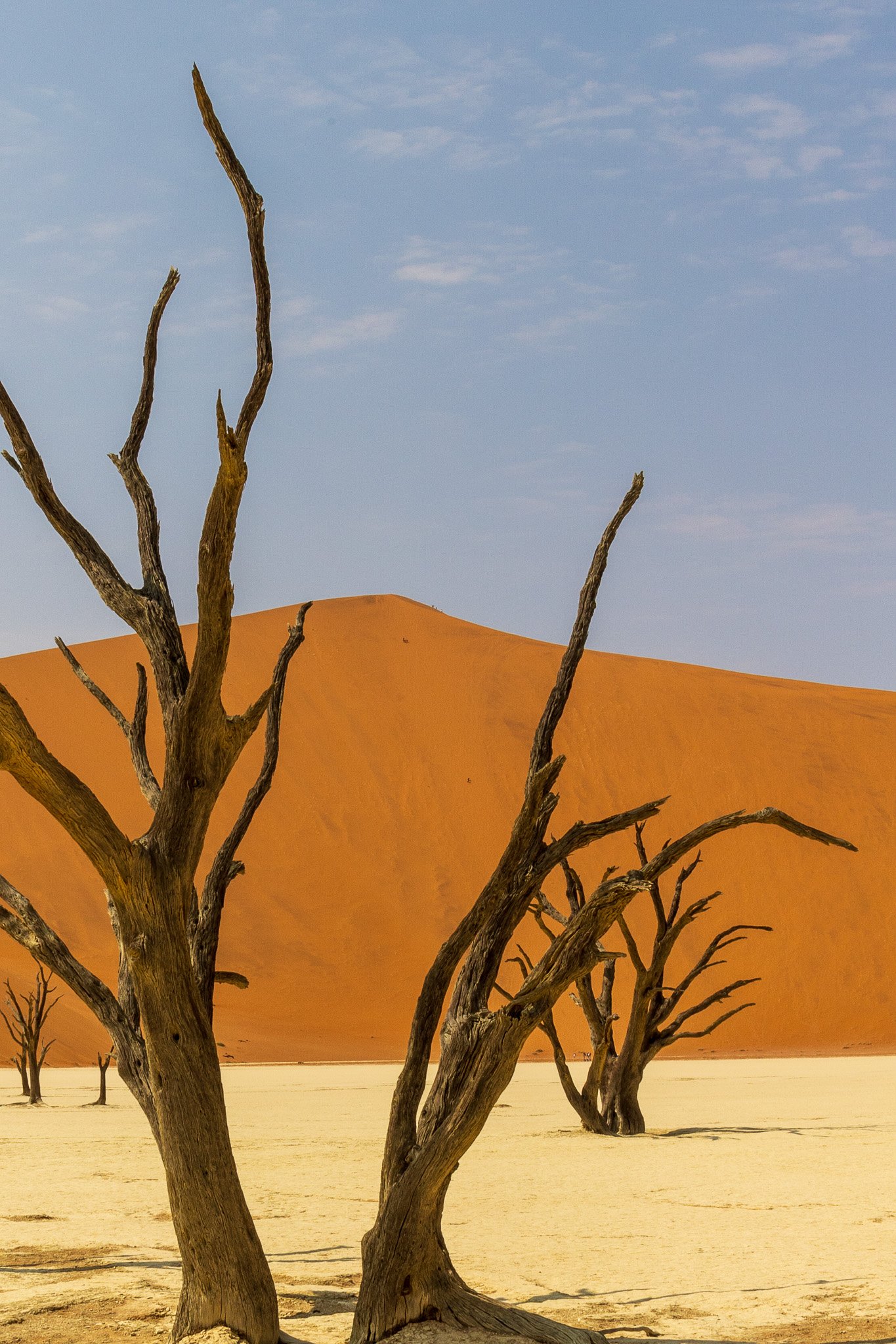 _namibia23set0449.jpg