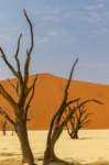 _namibia23set0449_small.jpg