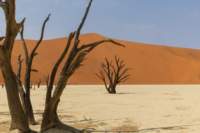 _namibia23set0450_small.jpg